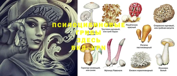 гашик Пестово